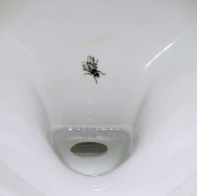 Et urinal med en tegning av en flue oppi.