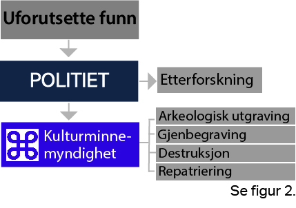 Figur 1 - uforutsette funn farge.jpg