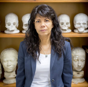 Bilde av Anne Ingvarsson-Sundström har ansvaret for den anatomiske samlingen i Uppsala, foran en hylle med gipsavstøpninger av hodeskaller.