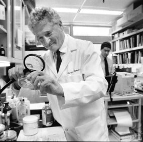 Bilde av forskeren Albert Kligman på laboratoriet.