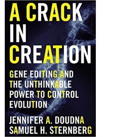 Forsiden til A crack in creation