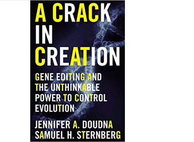 Forsiden til A crack in creation