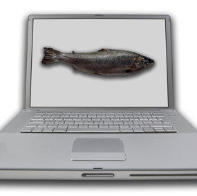 Datamaskin med bilde av laks