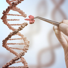 CRISPR genredigering