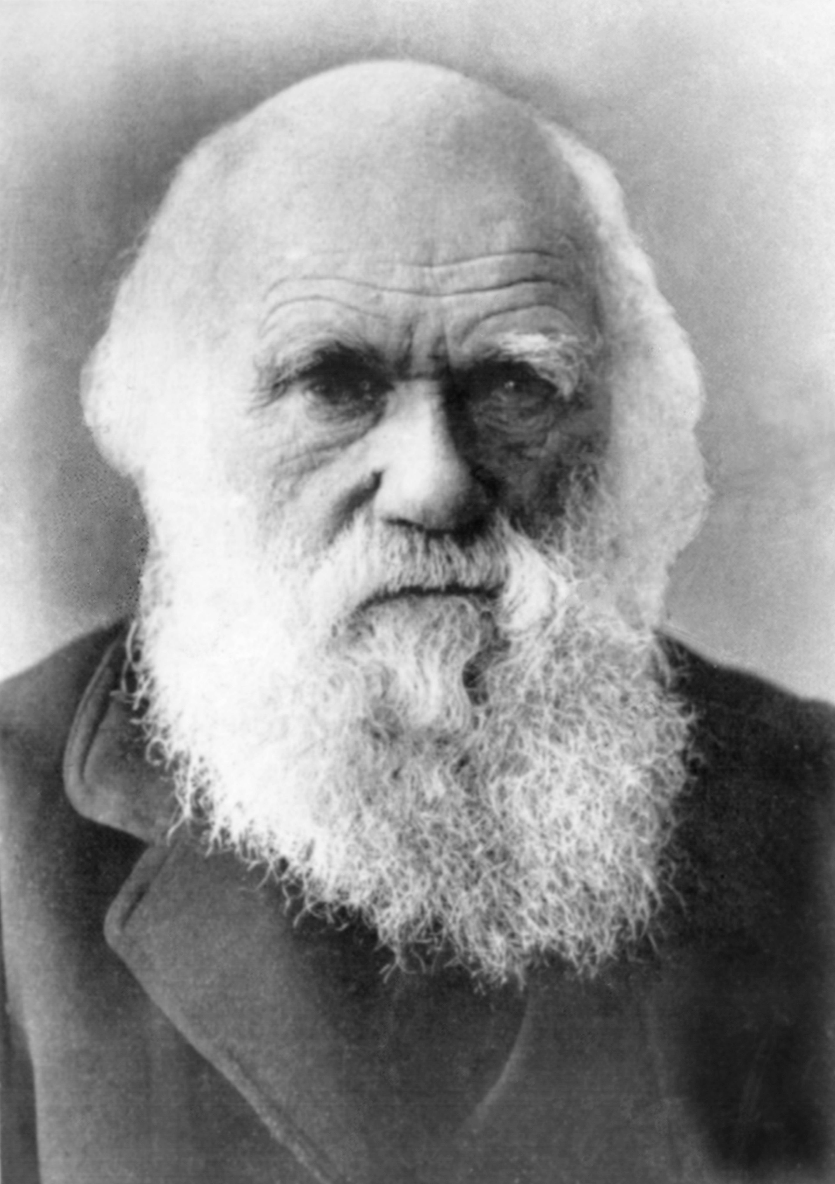 Charles Darwin