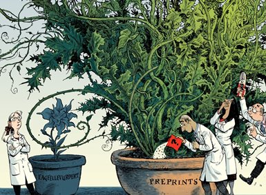 Illustration of scientists tending  to a plant labeled preprints, while a small plant labeled peer review stands in it's shadow