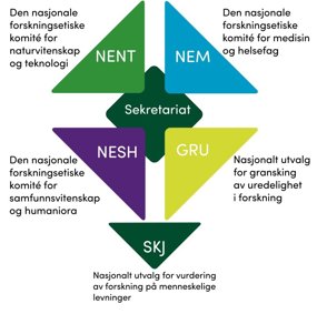 Visualisering av organisasjonen