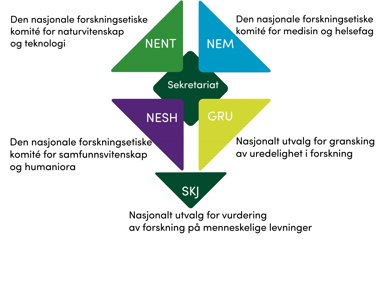 Visualisering av organisasjonen