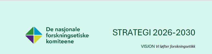 Skjermdump av strategiens f&oslash;rste side
