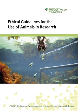 Ethical Guidelines for the Use of Animals in Research | Forskningsetikk