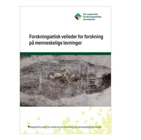 Forsiden av veilederen med bilde av levninger fra en grav.